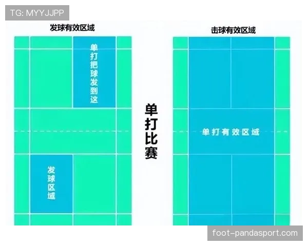 干扰发球违例是什么？规则解析与判罚标准