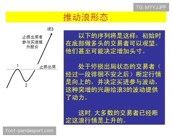 深入剖析三秒规则国际差异在不同联赛中的具体判定标准