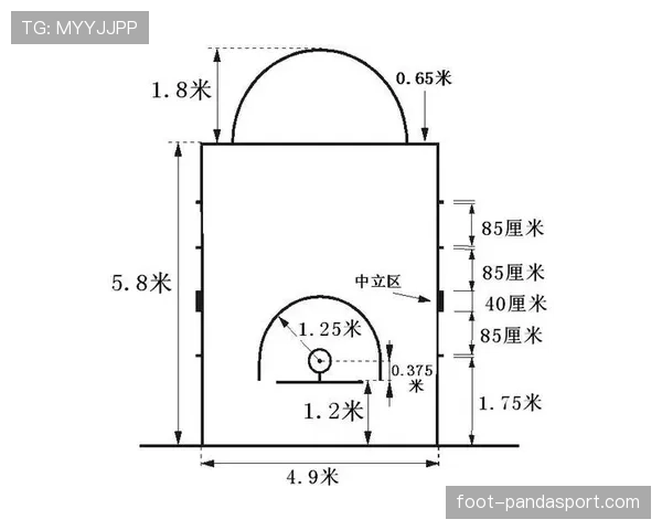 盘点篮球规则差异：FIBA和NBA规则区别详解